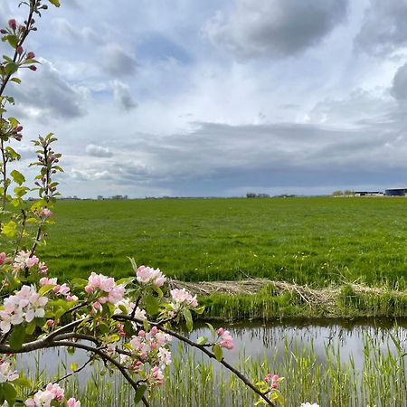 Bed And Breakfast De Salix Hitzum ภายนอก รูปภาพ