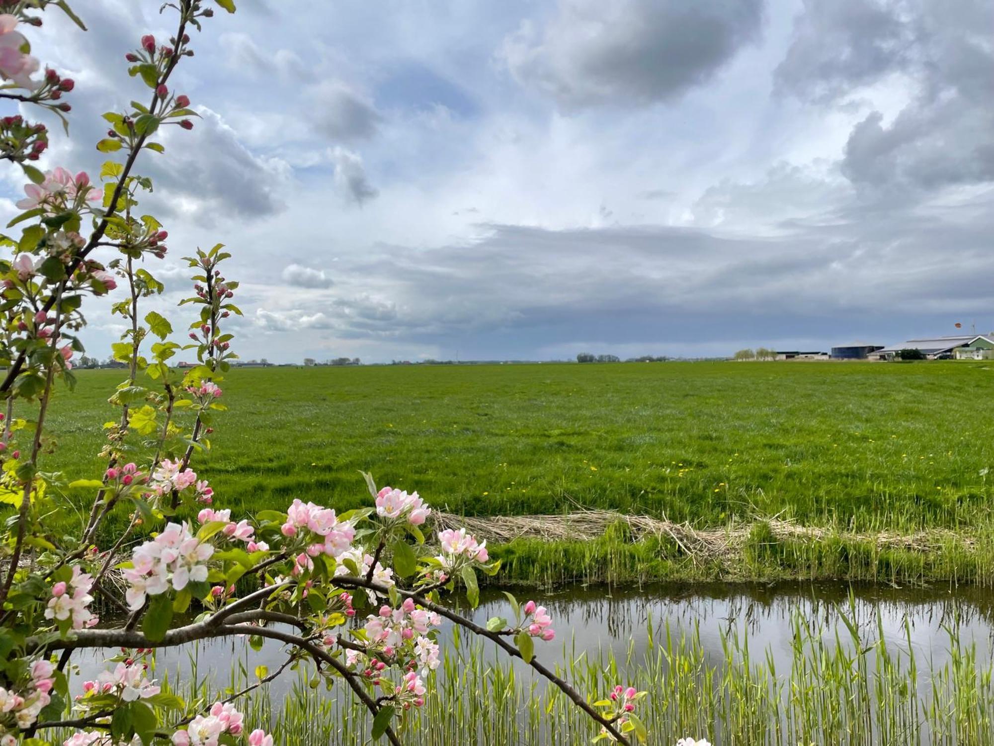 Bed And Breakfast De Salix Hitzum ภายนอก รูปภาพ