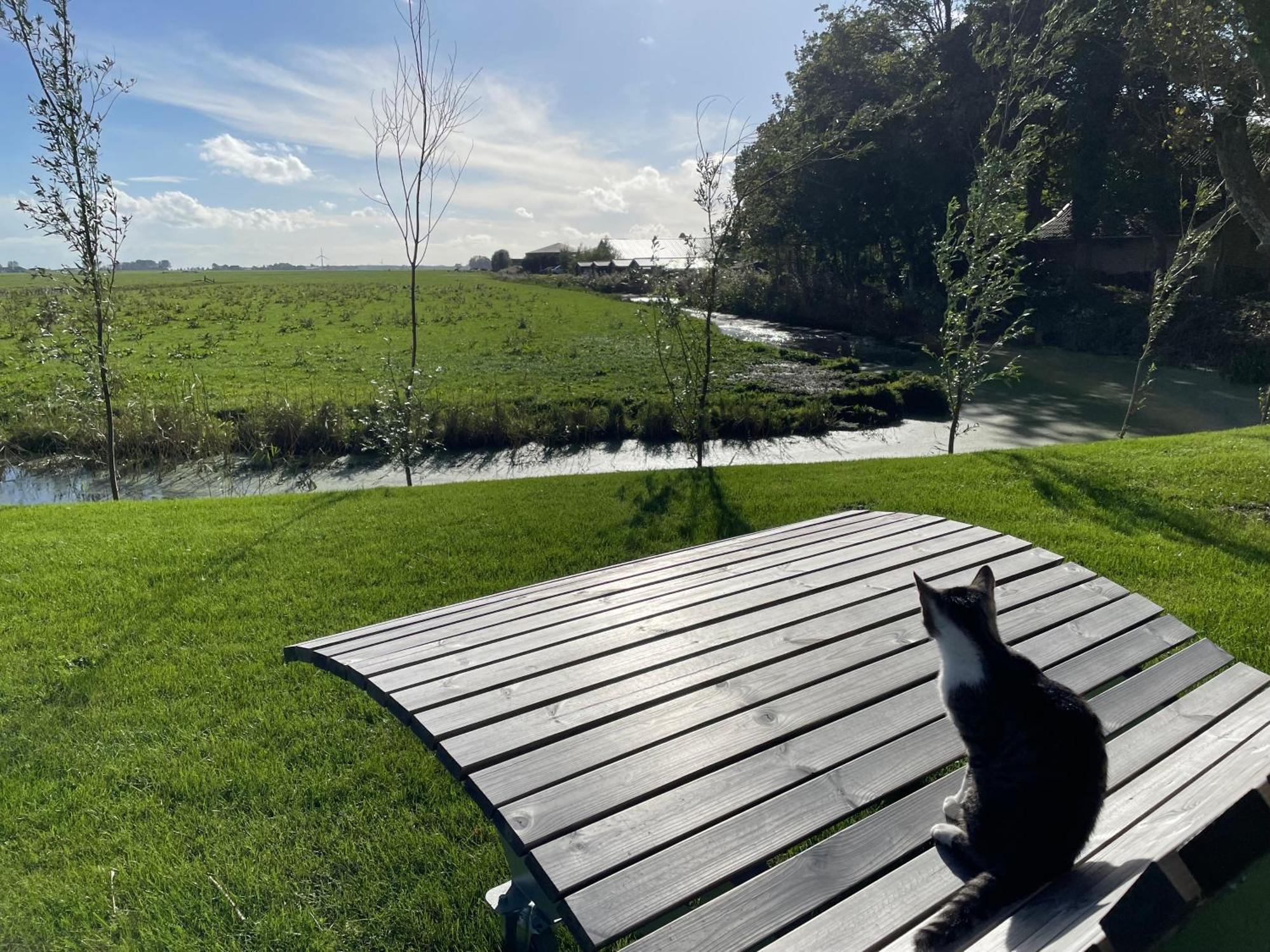 Bed And Breakfast De Salix Hitzum ภายนอก รูปภาพ